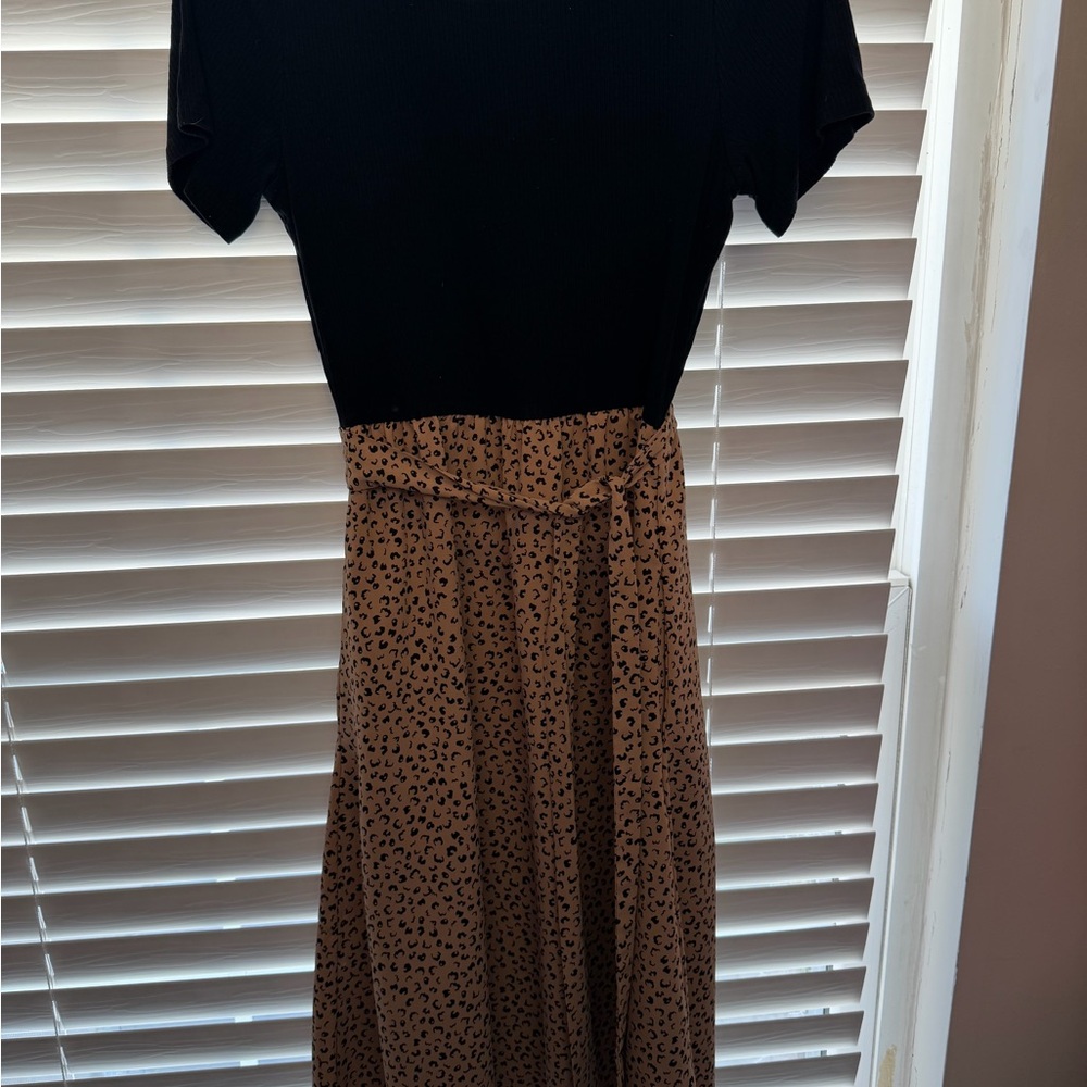 Chic Black and Brown A-Line Dress